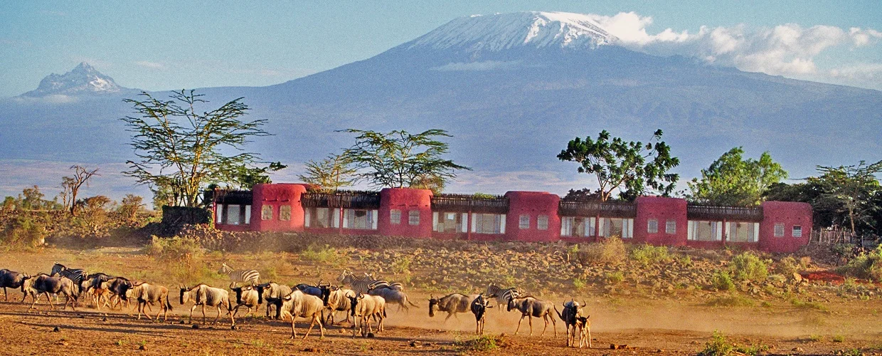 flying safaris with cross wild safaris at Amboseli national park in Kenya