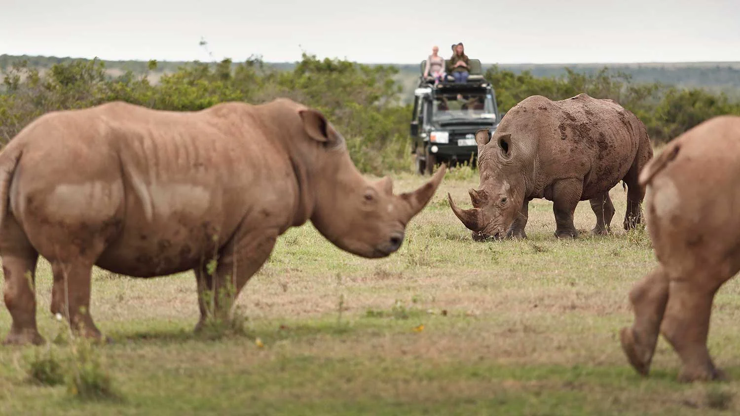 Solio Game Reserve in Kenya with cross wild safaris