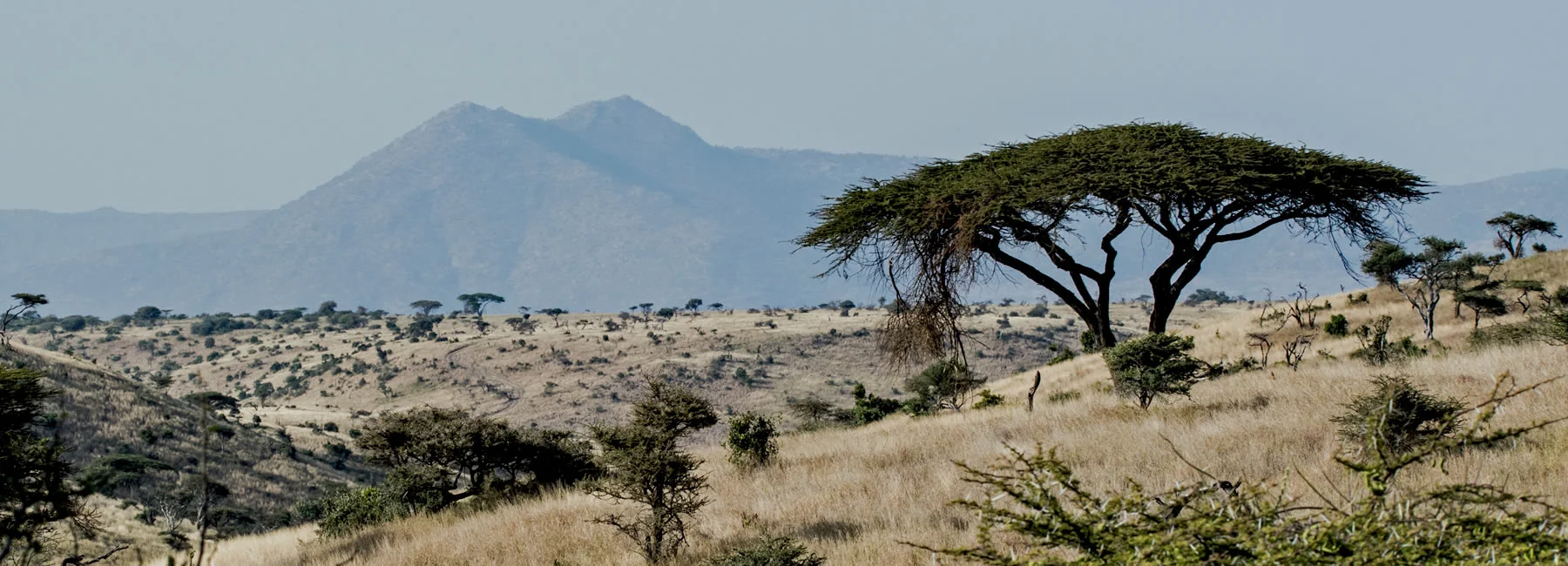 Nasolot National Reserve with cross wild safaris
