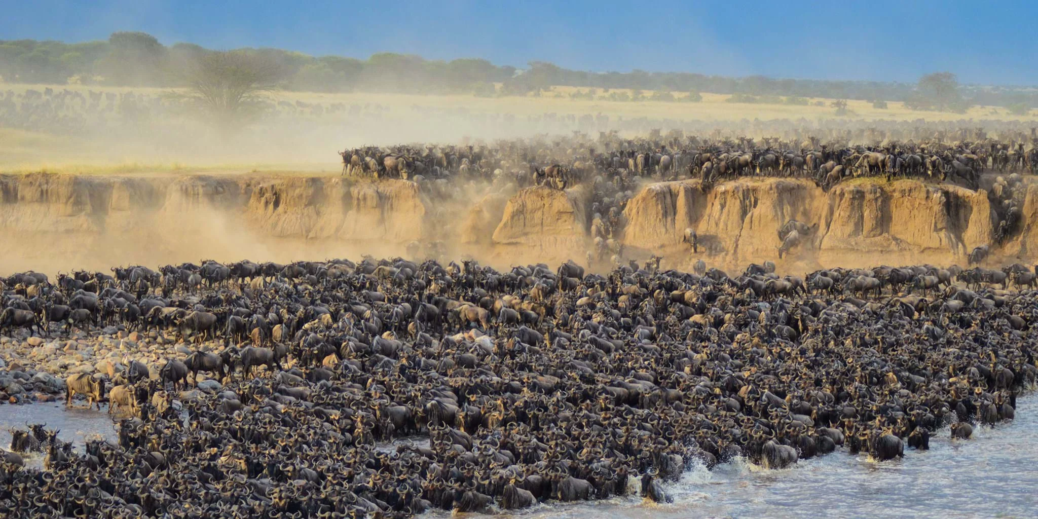 packing list for the great migration safari with cross wild safaris