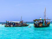 wasini island dhow ride with cross wild safaris
