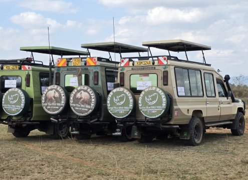 CROSS WILD SAFARIS FLEET OF LAND CRUISERS