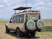 FLYING SAFARIS WITH CROSS WILD SAFARIS AT MASAI MARA NATIONAL RESERVE IN MARA SERENA in Kenya