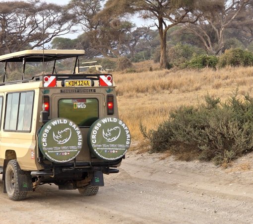 game drive in Amboseli national park with cross wild safaris. safari safety