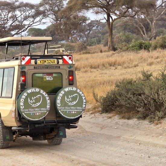 game drive in Amboseli national park with cross wild safaris. safari safety