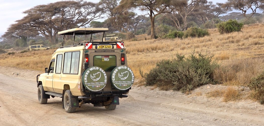 game drive in Amboseli national park with cross wild safaris. safari safety