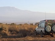 Bush and beach safari with cross wild at Amboseli national park in Kenya