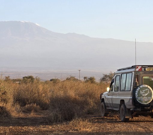 Bush and beach safari with cross wild at Amboseli national park in Kenya