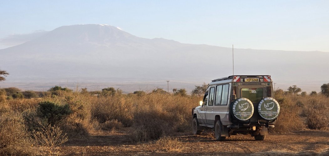Bush and beach safari with cross wild at Amboseli national park in Kenya