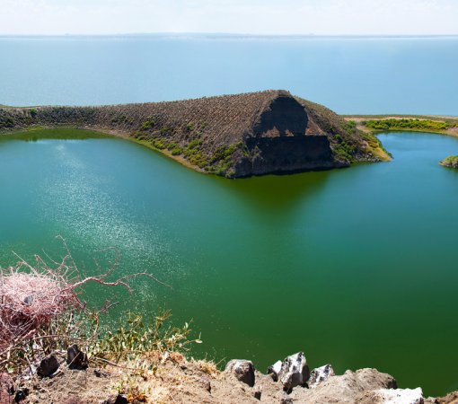 Aerial view of South Island National Park, Kenya, with turquoise waters and green landscapes with cross wild safaris