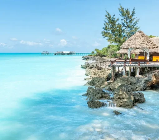 Mombasa Marine National Park, Kenyan safari with cross wild safaris