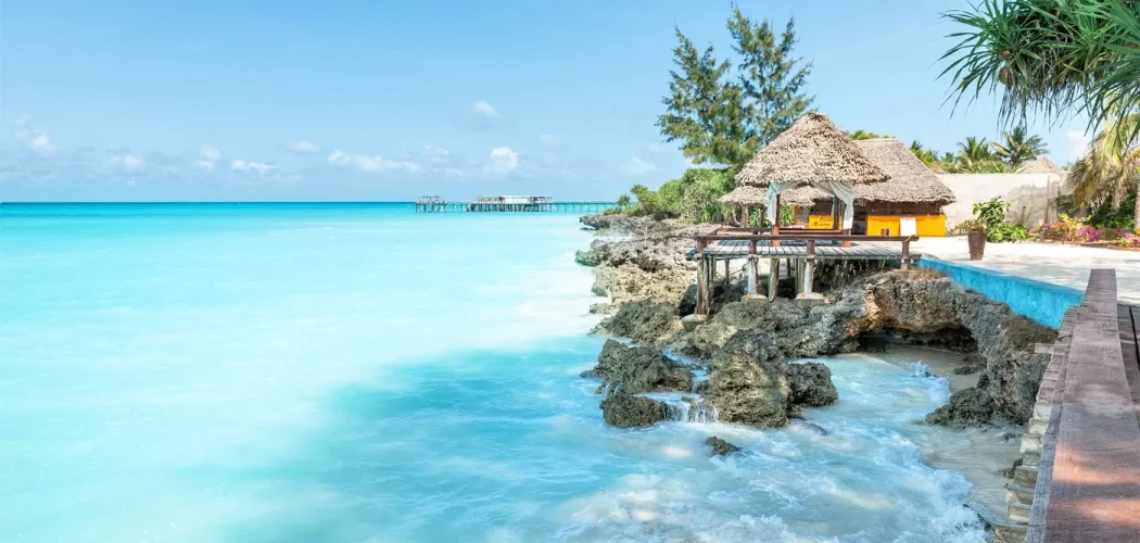 Mombasa Marine National Park, Kenyan safari with cross wild safaris