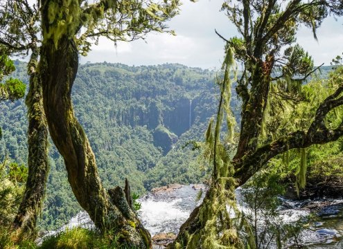 Aberdare national park aerial view