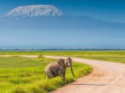 Mid-range safari with cross wild safaris at Amboseli national park