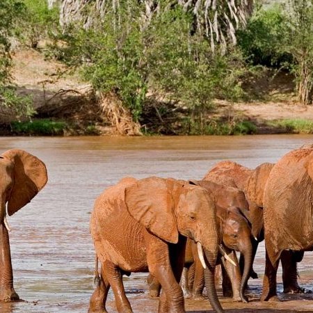 tsavo east national park