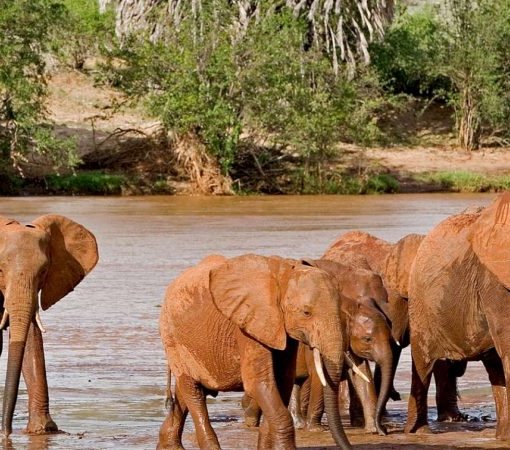 tsavo east national park