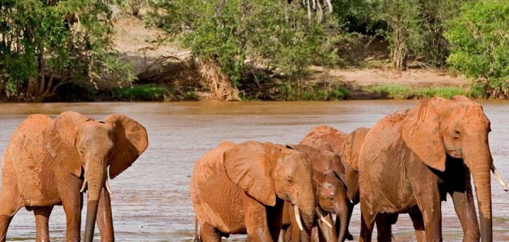 tsavo east national park