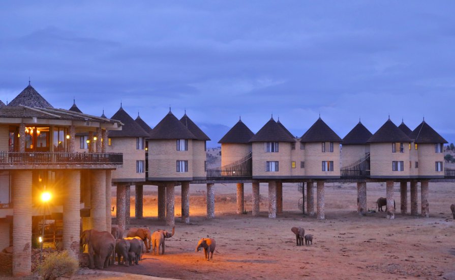 Bush and beach safari with cross wild at salt lick safari lodge in Tsavo east national park