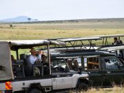 Clients enjoying a masai mara safari in masai mara national reserve