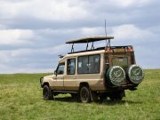 East Africa safaris WITH CROSS WILD SAFARIS AT Masai mara NATIONAL RESERVE in Mara Serena