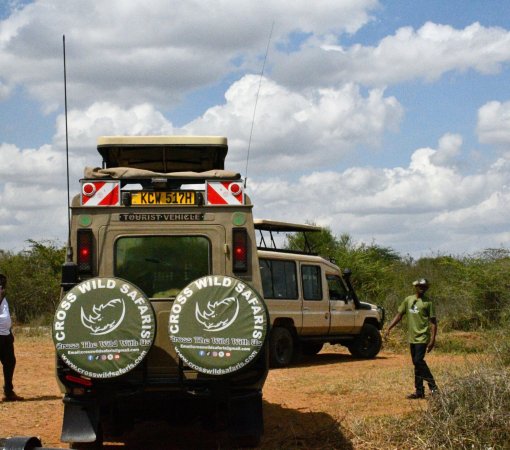 Kenyan safari with cross wild safaris