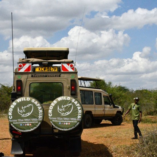Kenyan safari with cross wild safaris