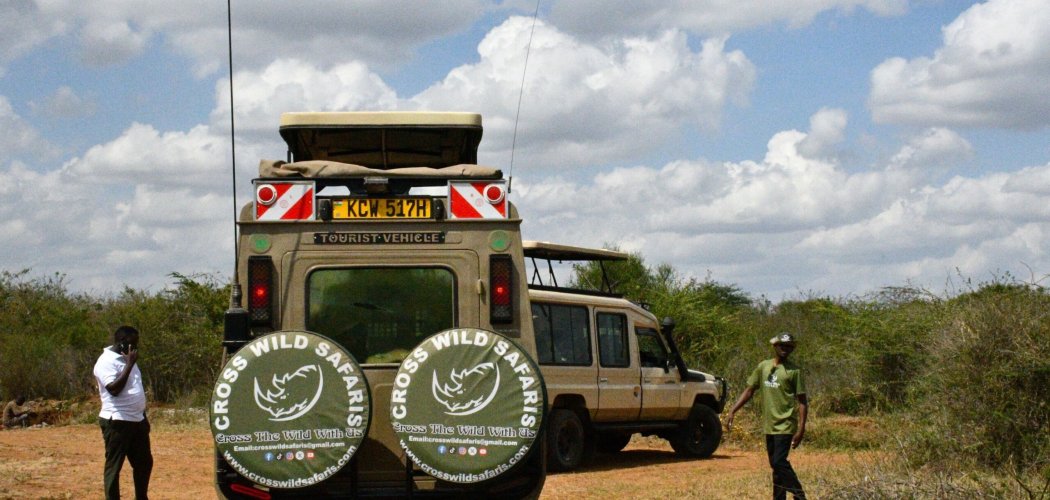 Kenyan safari with cross wild safaris