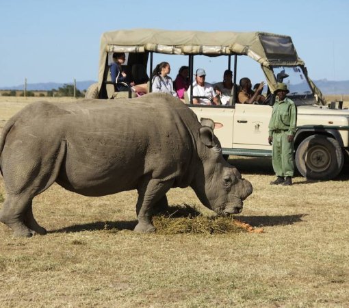Ol Pejeta Conservancy In Kenya with cross wild safaris