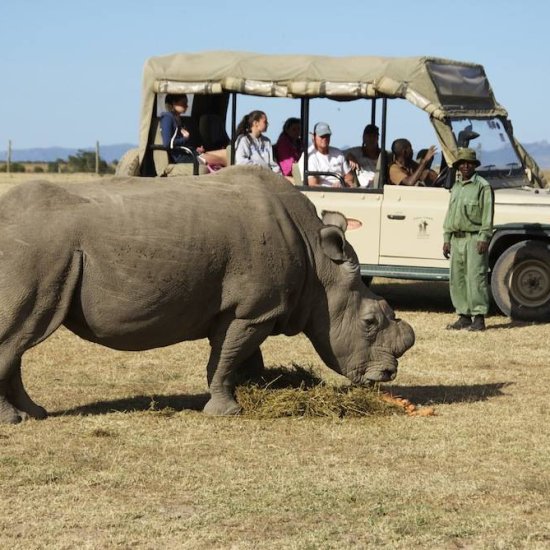 Ol Pejeta Conservancy In Kenya with cross wild safaris