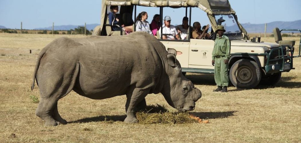 Ol Pejeta Conservancy In Kenya with cross wild safaris