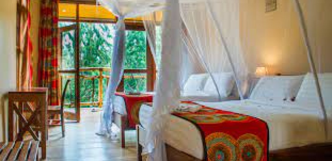 Gorilla Trekking in Uganda with cross wild safaris in Kenya at Bwindi