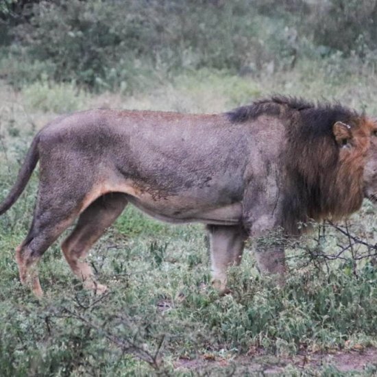 what to pack for your rainy season safari with cross wild safaris