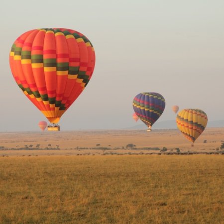 hot air balloon safari in Masai Mara national reserve in Kenya with cross wild safaris