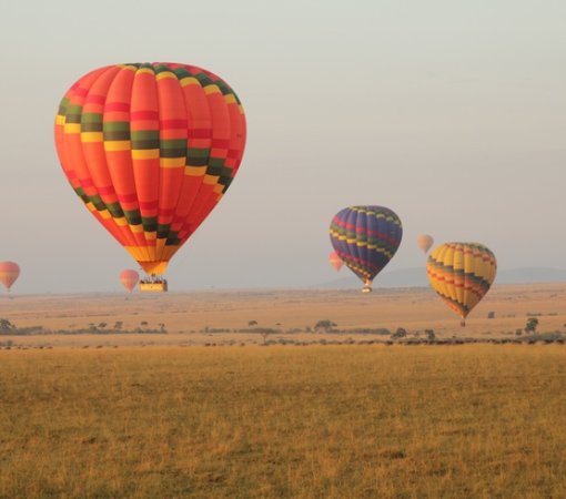 hot air balloon safari in Masai Mara national reserve in Kenya with cross wild safaris
