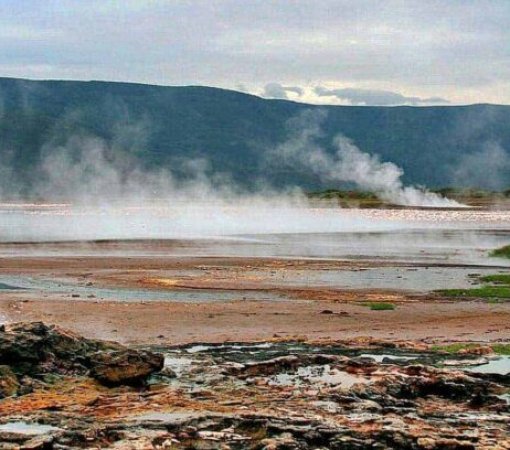 lake bogoria national reserve cross wild safaris