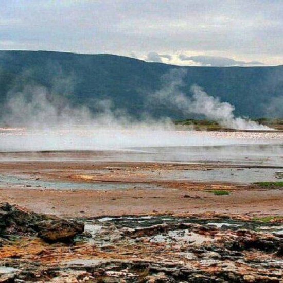 lake bogoria national reserve cross wild safaris