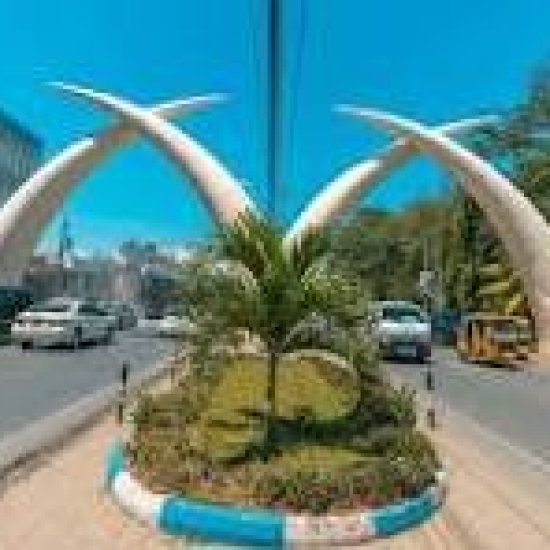 mombasa safari with crosswild safaris in fort jesus