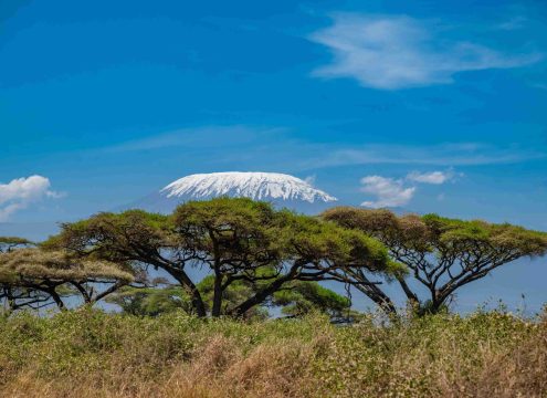 The view of snowcapped Mount Kilimanjaro from Amboseli National Park on a Safari