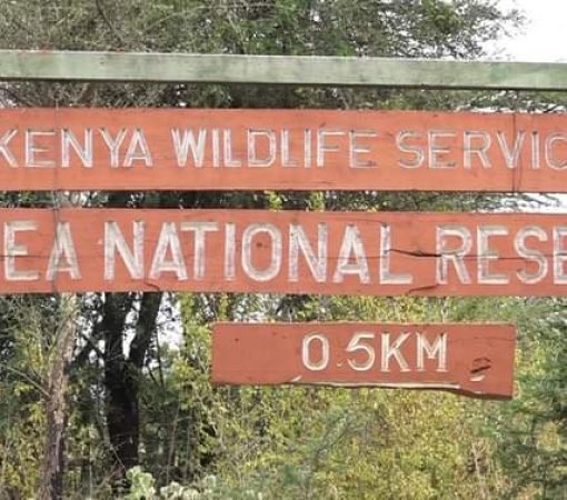 mwea national reserve with cross wild safaris