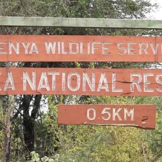 mwea national reserve with cross wild safaris