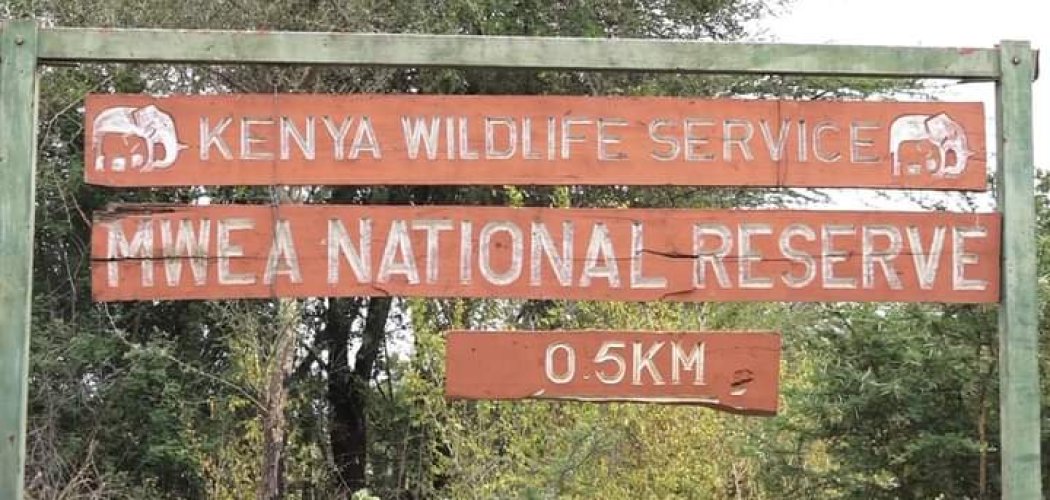 mwea national reserve with cross wild safaris