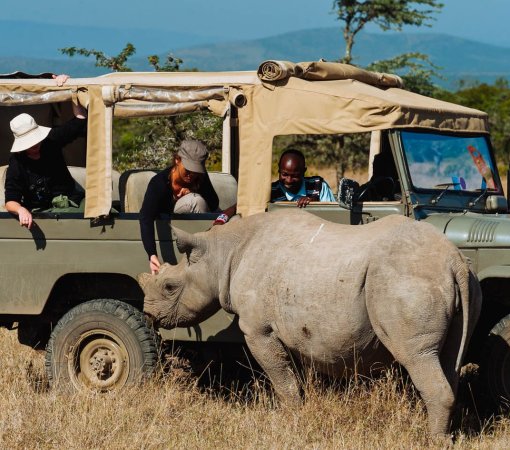 Ol-Pejeta-Conservancy