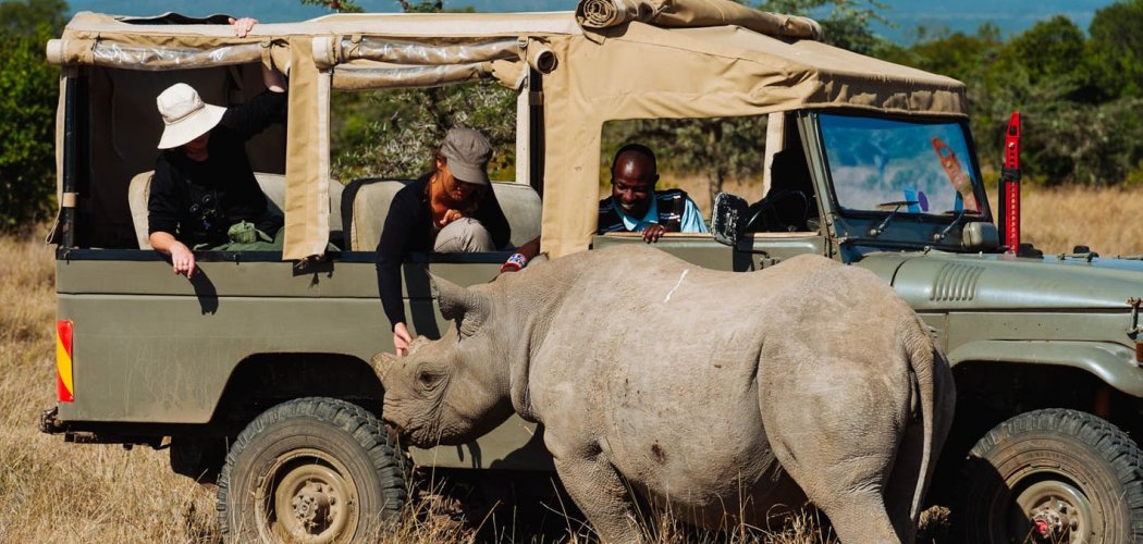 Ol-Pejeta-Conservancy