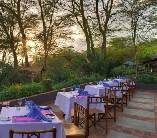 eco friendly lodges in mount kenya with cross wild safaris