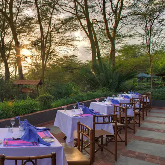 eco friendly lodges in mount kenya with cross wild safaris