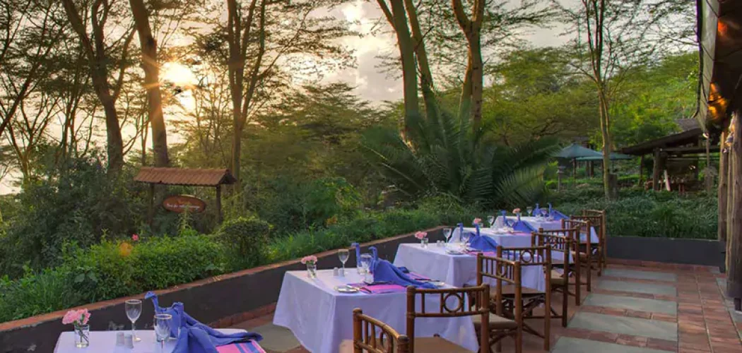 eco friendly lodges in mount kenya with cross wild safaris