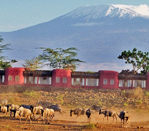 flying safaris with cross wild safaris at Amboseli national park in Kenya