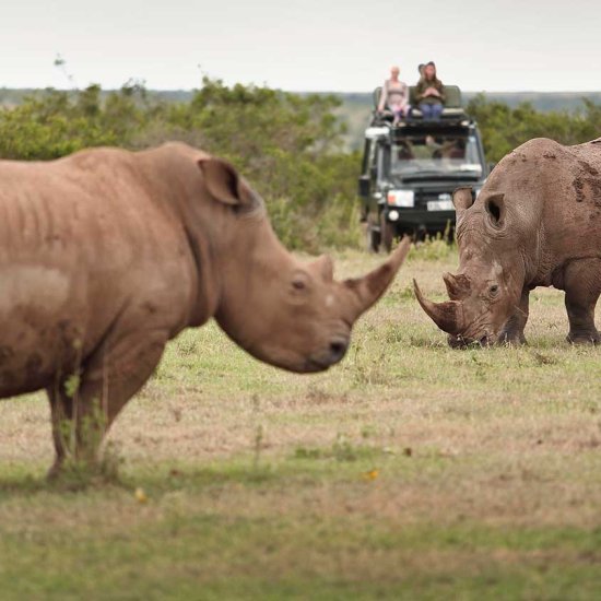Solio Game Reserve in Kenya with cross wild safaris