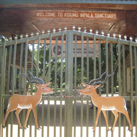KISUMU IMPALA SANCTUARY WITH CROSS WILD SAFARIS
