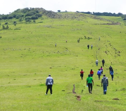 Trekking Ngong hills with cross wild safaris